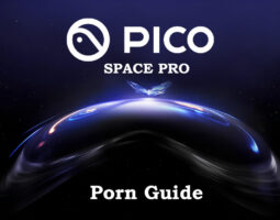 Pico Space Pro Porn Guide